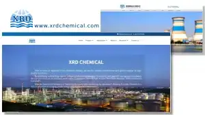 Exciting News: Our New Official Website is Now Live!