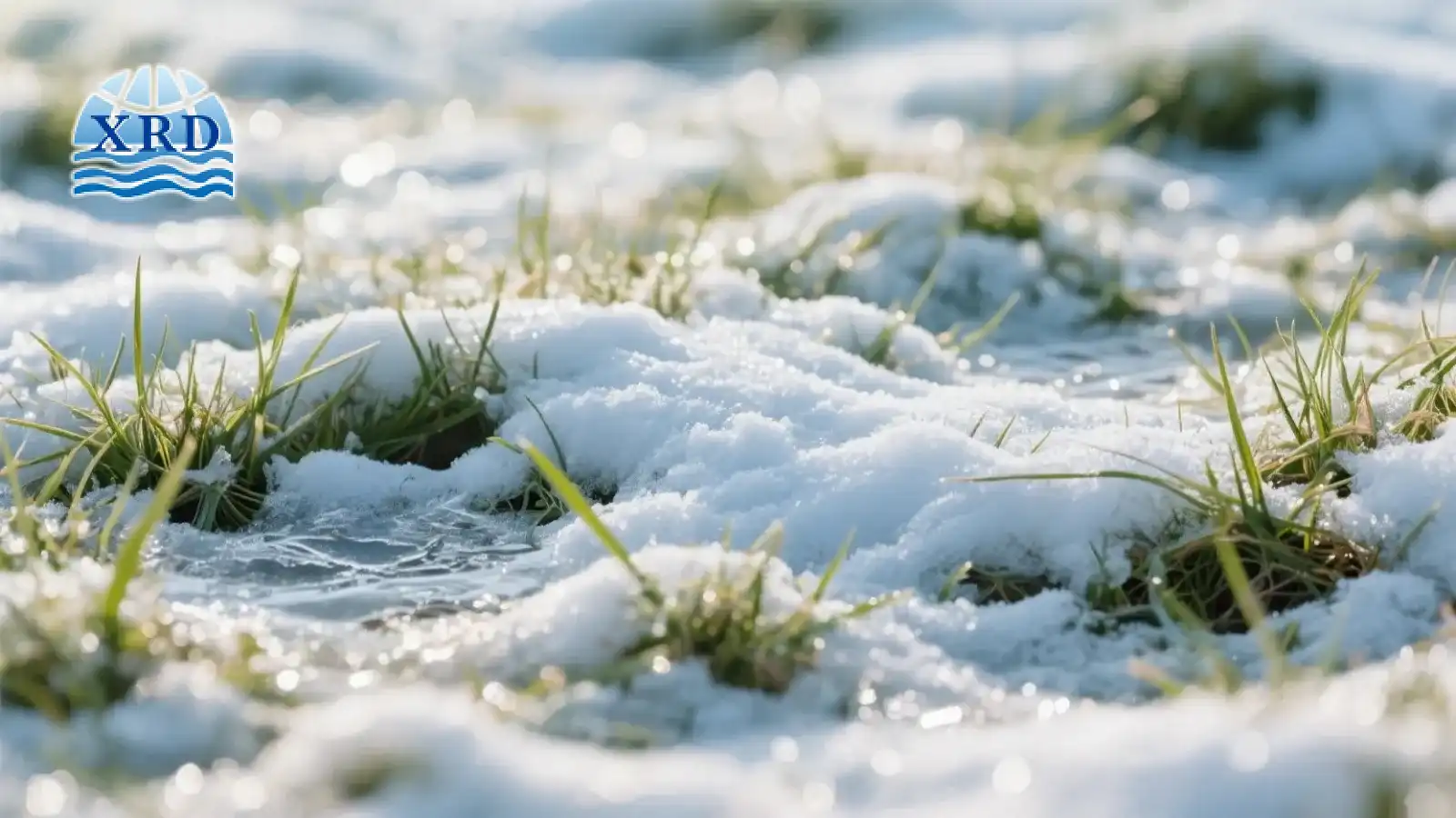 Calcium Magnesium Acetate vs Calcium Chloride and Other Ice Melt Agents