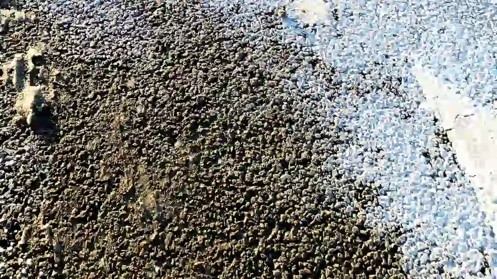 Corrosion and Environmental Impact