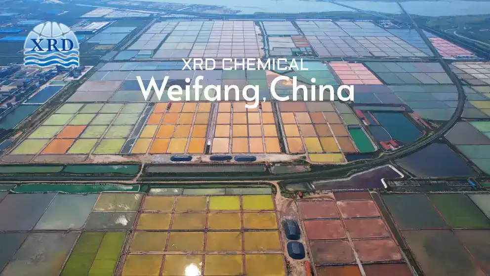 Advantages of Calcium Magnesium Acetate (CMA) Manufacturers in China