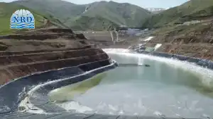 Improving Tailings Water Clarity with PAC–PAM Systems While Controlling Chemical Dosage