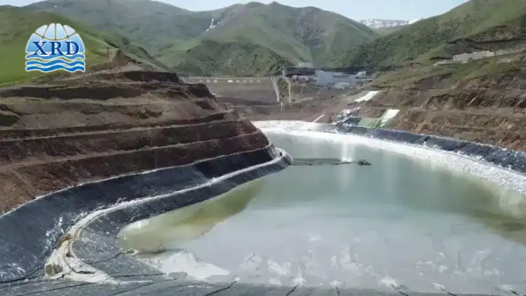 Improving Tailings Water Clarity with PAC–PAM Systems While Controlling Chemical Dosage