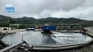 Why pH Instability Undermines Mineral Recovery — Selecting Between Sodium Bicarbonate and Soda Ash