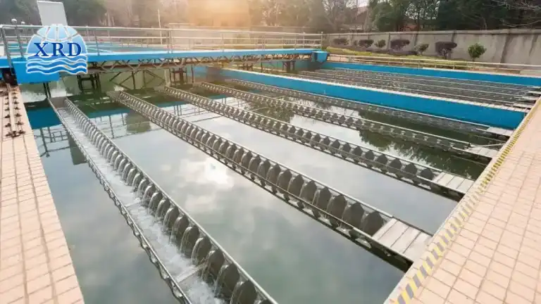 Improving Primary Sedimentation Efficiency with Powdered Activated Carbon Under Variable Influent Conditions