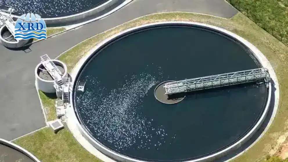 Secondary Clarifier Carryover When Floc Structure, Not MLSS, Is the Real Problem