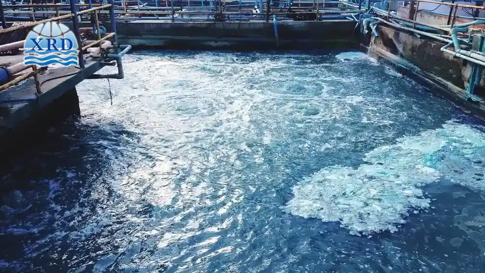 Removing Fluoride from Industrial Wastewater Using Calcium Chloride Precipitation