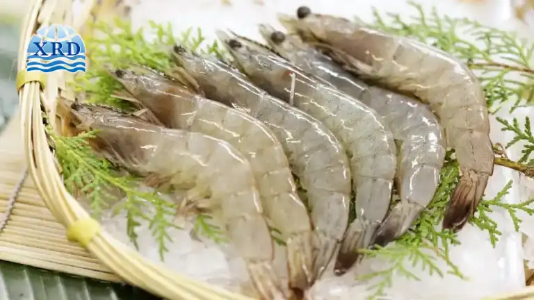 Shrimp Black Spot Formation in Cold Storage — Using Sodium Metabisulfite to Control Melanosis