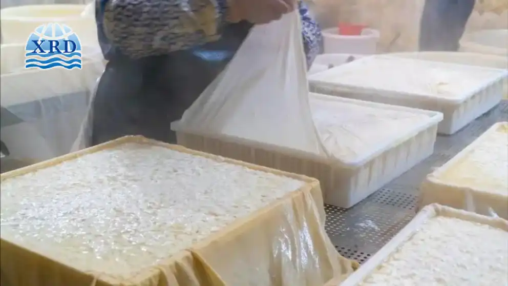 두부 응고가 대량 생산에서 실패하는 이유 — 황산마그네슘 투여 최적화