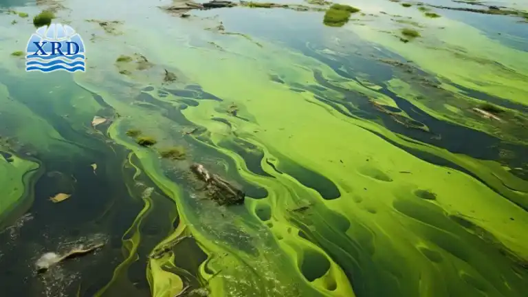 Chemical Precipitation of Fluoride and Phosphorus Using Calcium Chloride