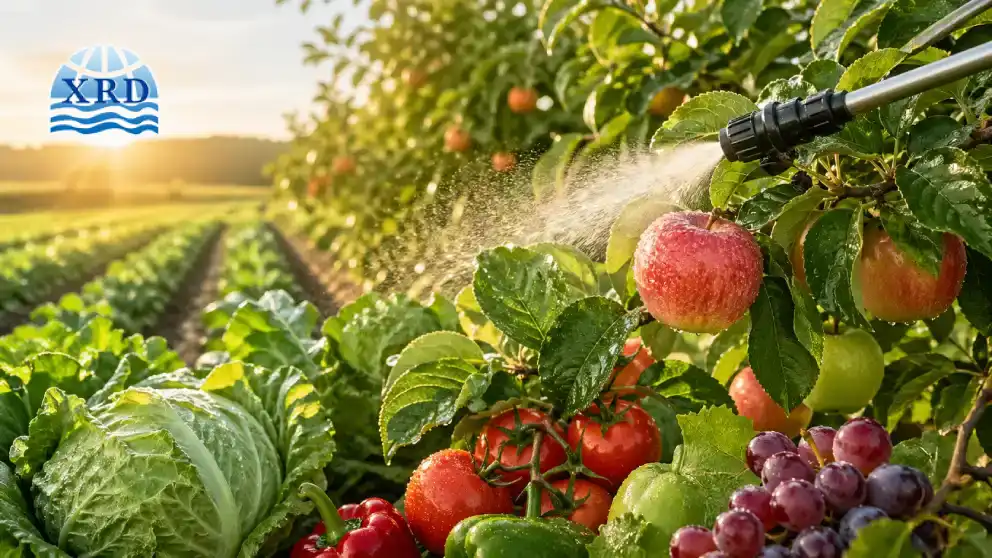 Improving Crop Calcium Nutrition with Calcium Chloride Fertilizer Sprays