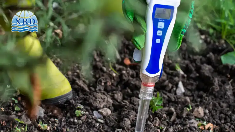 How Calcium Chloride Helps Reclaim Saline-Alkali Agricultural Land