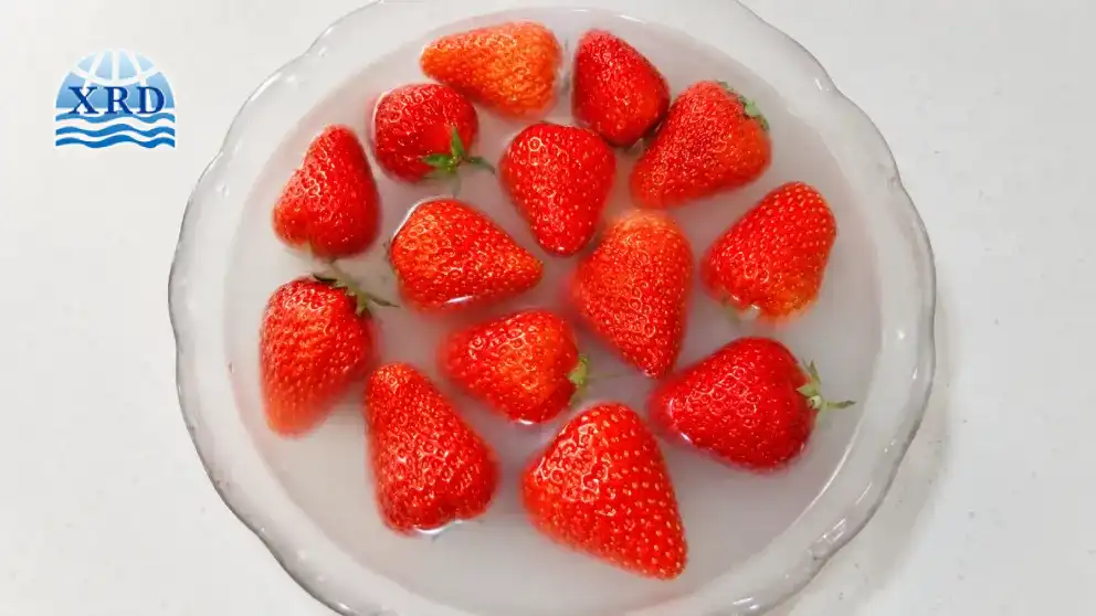How Calcium Chloride Treatments Improve Fruit Firmness and Shelf Life