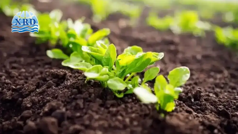 Using Calcium Chloride to Improve Soil Structure in Sodic Soils