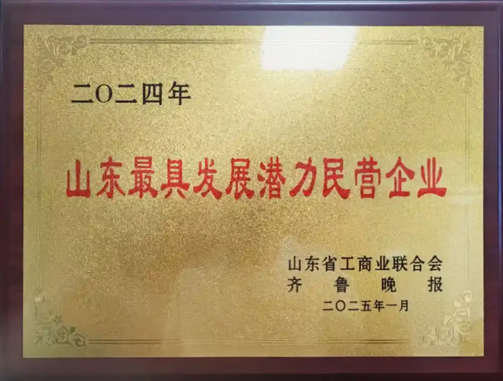 Shandong's Most Promising Private Enterprise